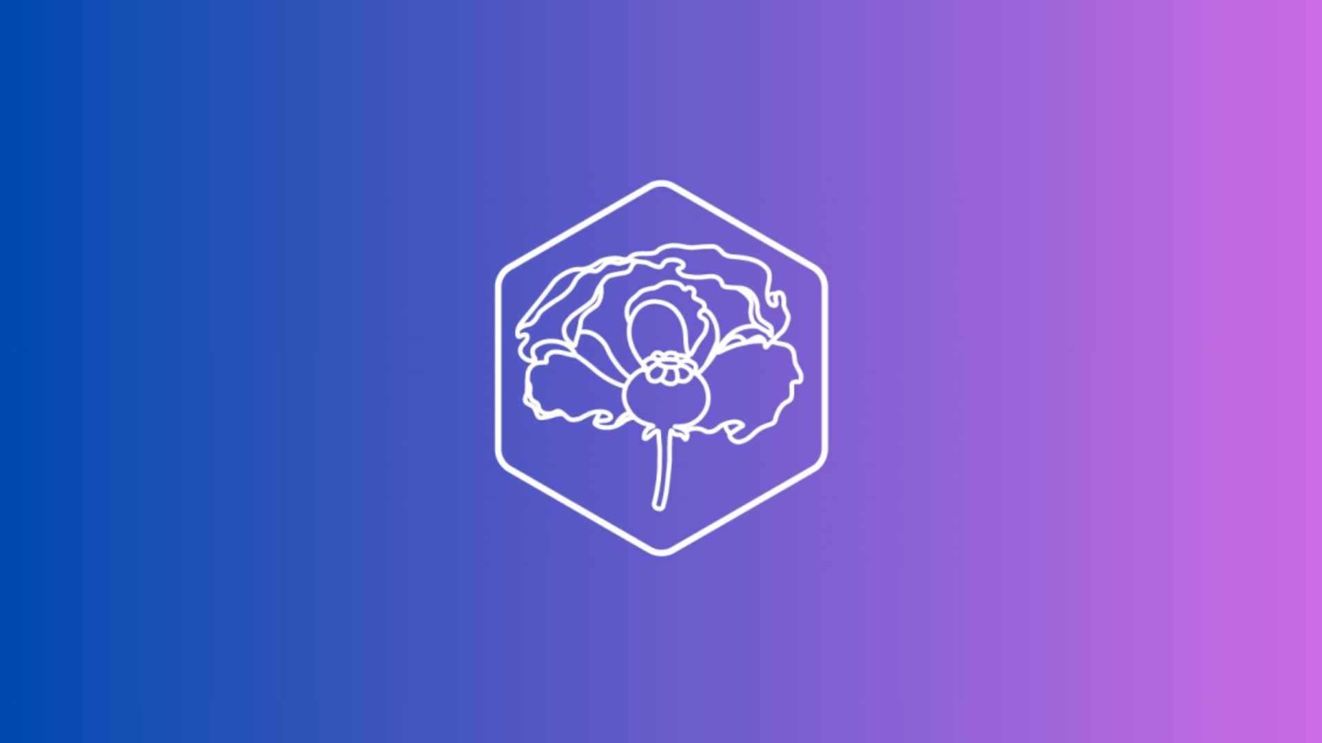 IT-migratie Stichting Poppi cover